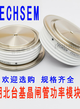 Y40ZPCA台基TECHSEM平板二极管ZP600A1000-2000V
