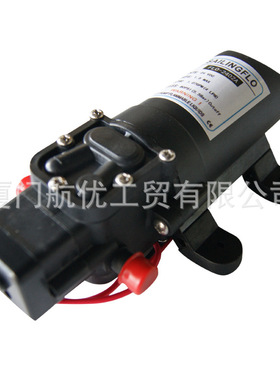 FL-2402A电动隔膜泵微型直流洗车泵智能清洗泵12V压力开关型