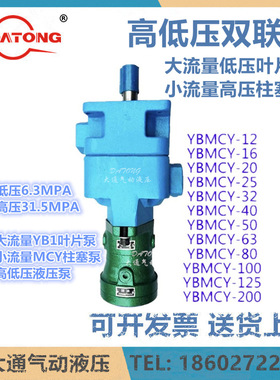 武汉大通高低压组合油泵WHDT-YBMCY-16/25/32/40/50/63/125/2.5