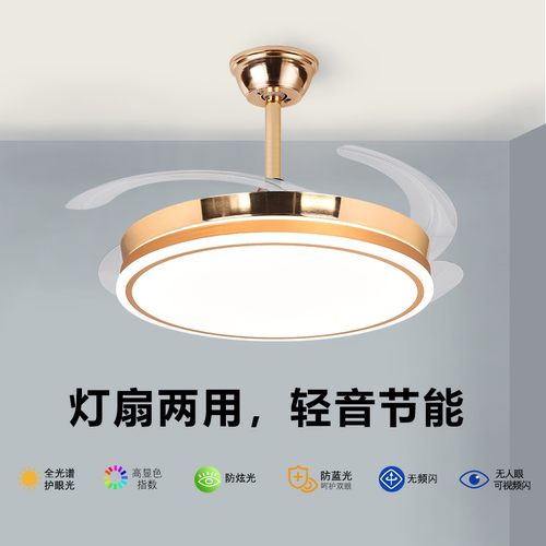 大叶隐形风扇灯家用客厅餐厅卧室吸顶吊式电风扇灯吊灯灯具