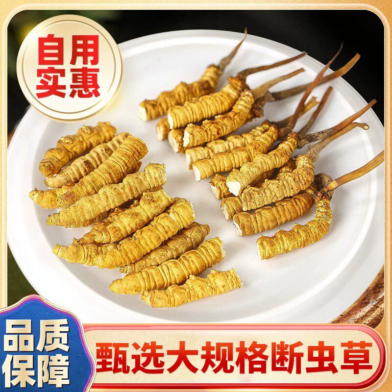 冬虫夏草大断草新货正品官方旗舰店干货头期纯肉自用泡水泡酒材料