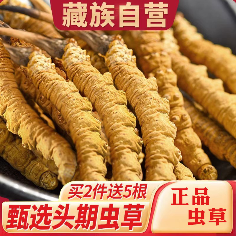 西藏官方旗舰店冬虫夏草新鲜虫草正品那曲鲜草礼盒装