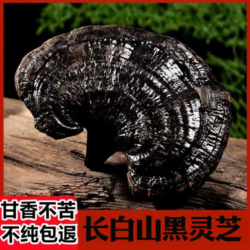 黑灵芝非野生长白山500克灵芝切片干货整朵正品泡酒灵芝养生茶