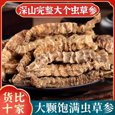 虫草参中药材500g正品地参干顶天柱地虫草竹节参泽兰根地蚕草煲汤