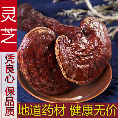 灵芝野生 正品正宗中药材长白山紫灵芝可切片打粉灵芝泡酒专用