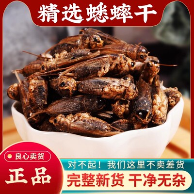 蟋蟀干中药材500g无硫新货蟋蟀蚱蜢干蛐蛐干夜鸣虫将军虫磨粉正品