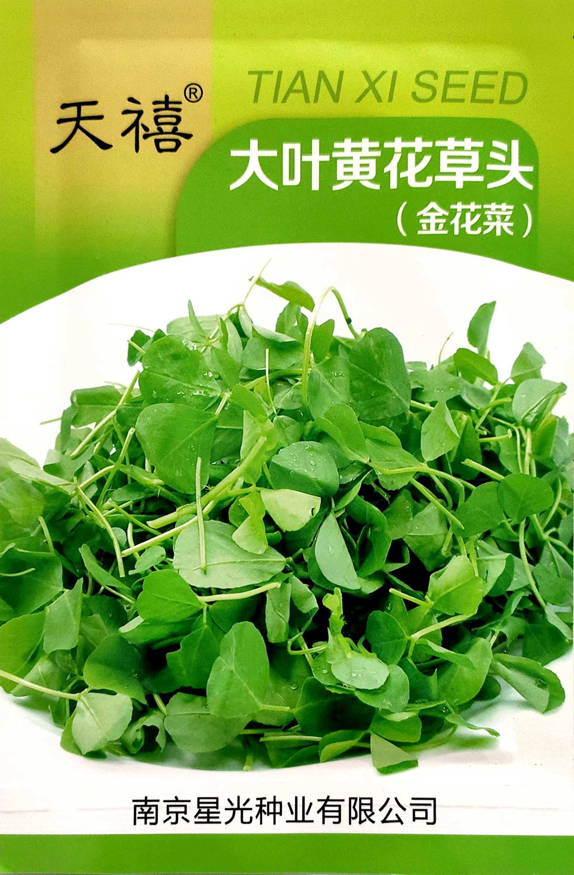 齐头菜图片,图片(第2页)_大山谷图库