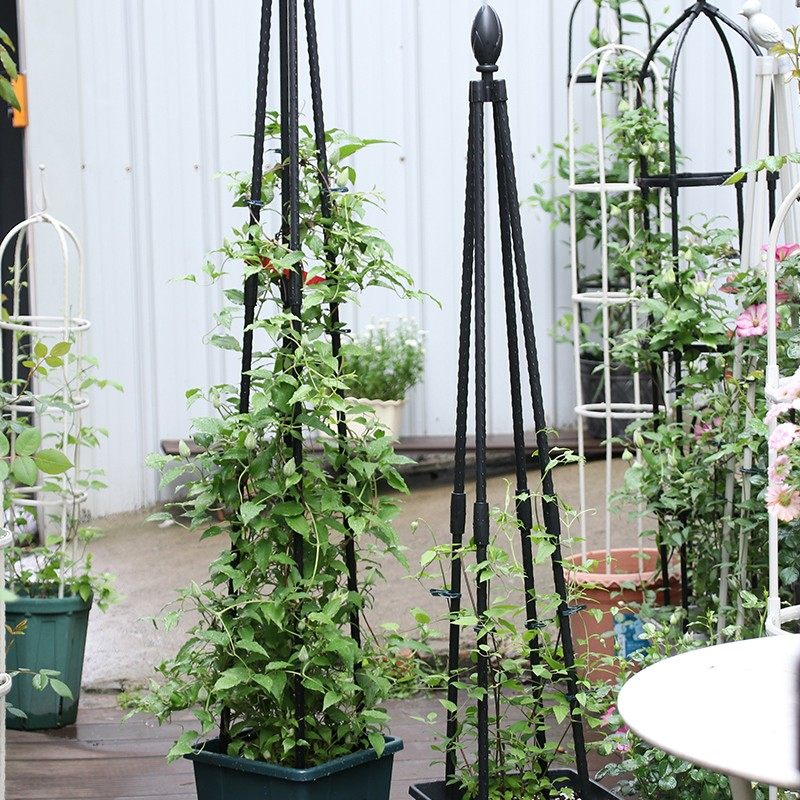 铁艺花园植物攀爬花艺架子球兰月季花架铁线莲爬藤架花盆支架杆