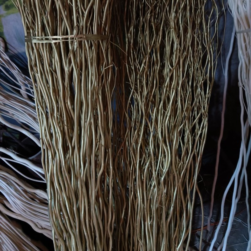 干支龙柳 树枝干枝 金色银色 装饰树枝花枝 摆放花枝客厅橱窗隔断