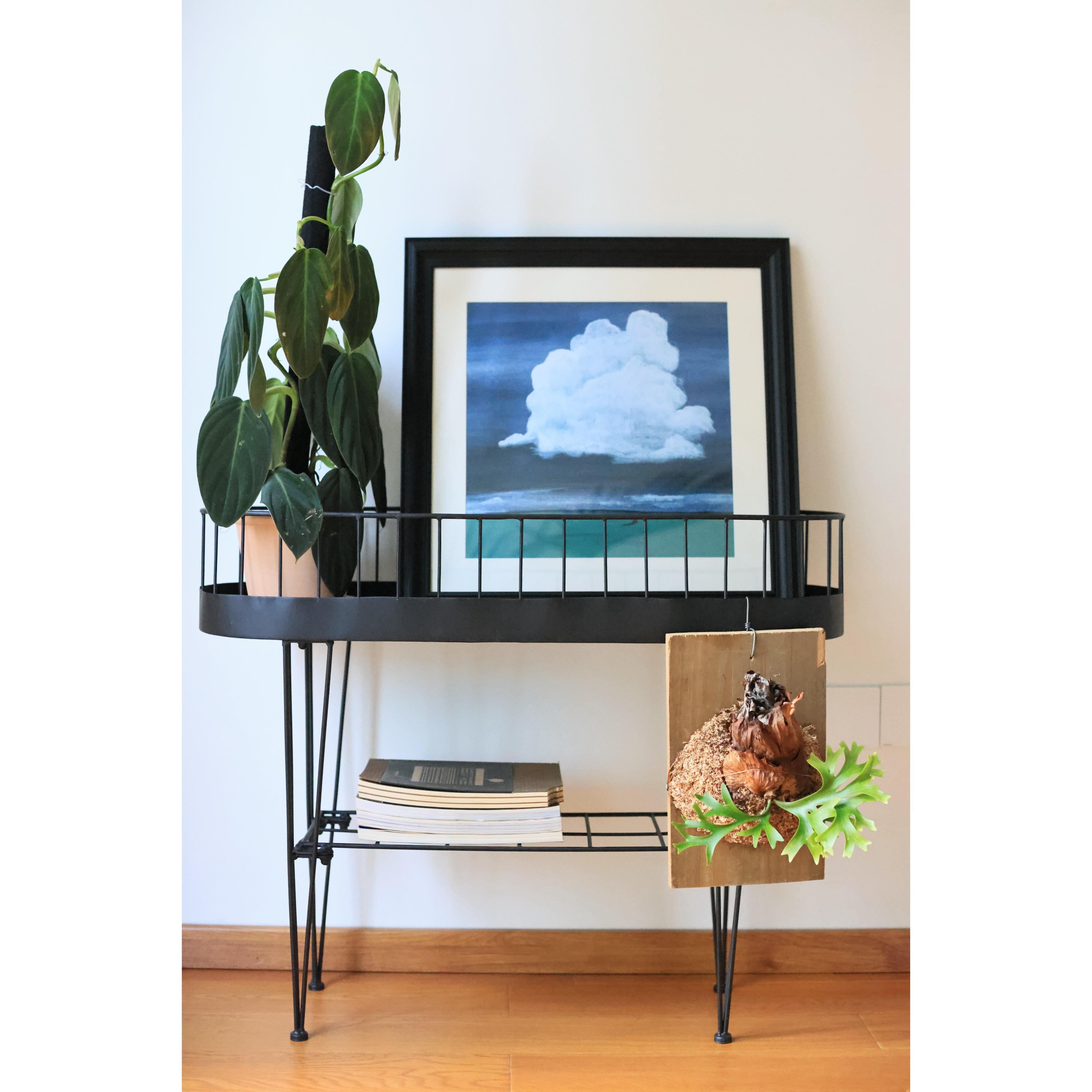 嘻物所 黑色室内花架绿植金属质感极简客厅装饰置物架双层设计