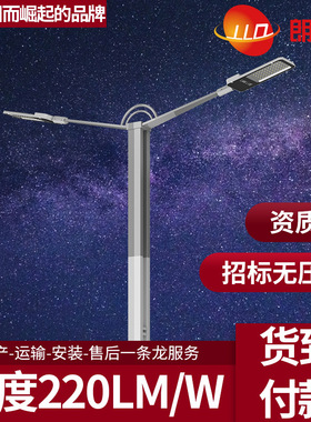 LED路灯60W100W150W200W户外道路照明高杆厂家6米8米10米12米14m