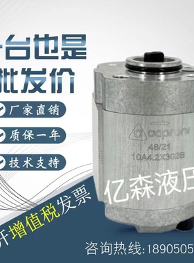 卡普罗尼Caproni齿轮泵10A1.25/1/1.6/2/2.5/2.6/6.1/8.5/9.8X001