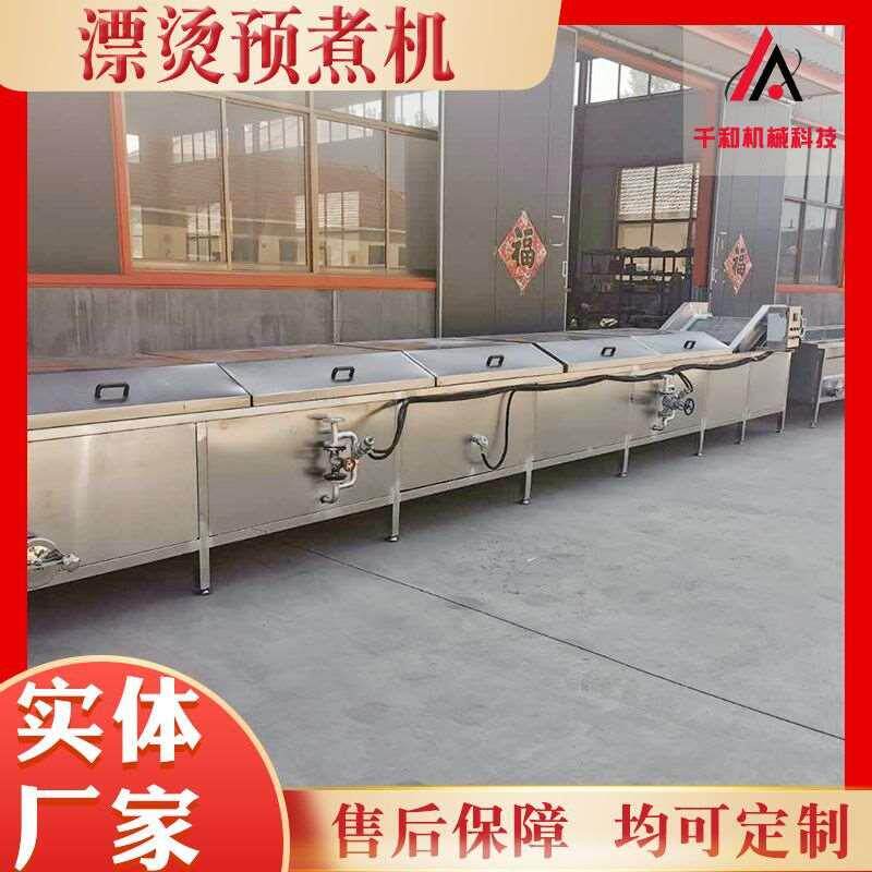 果蔬漂烫预煮机 水浴式金针菇漂烫机 黄桃水果罐头漂烫设备