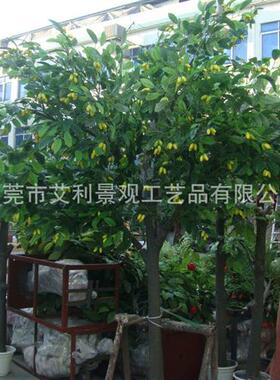 果树绿植盆栽枸杞树苹果树酒店装饰假树植物花高仿真