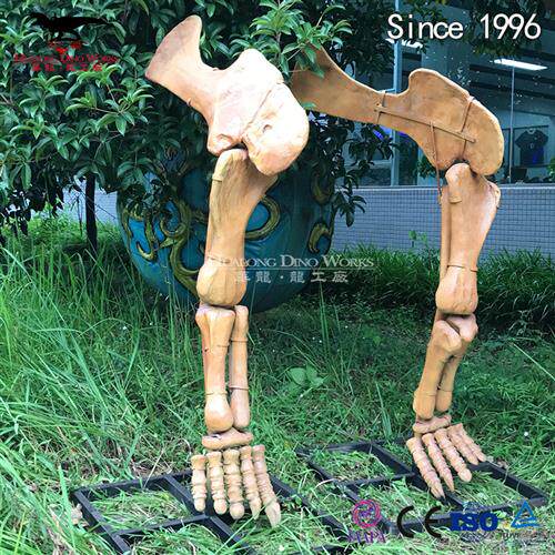 化石骨架恐龙脚模型仿真化石博物馆科技馆展览自贡恐龙厂家制作