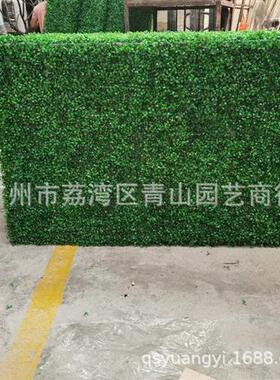 米兰草篱笆可定米兰草系列造型盆栽方块绿色仿真植物厂家