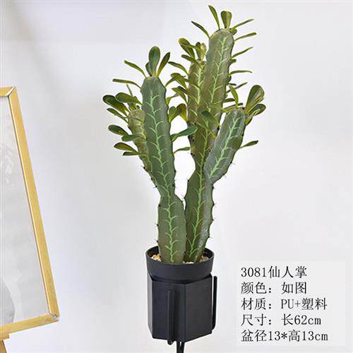 仿真仙人掌家居客厅装饰假植物盆栽热带沙漠盆景室内仿真仙人球