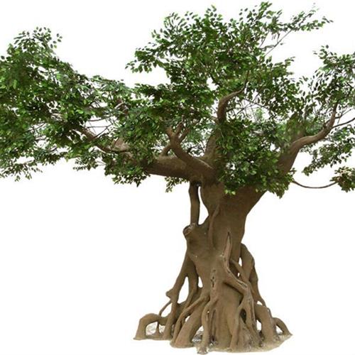 厂家供应仿真许愿榕树酒店商场展厅装饰树景观风景造型树定制