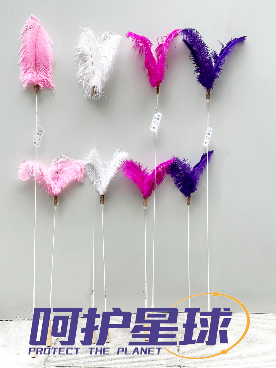 呵护星球猫咪赛级长杆逗猫棒原木手柄原生羽毛宠物玩具猫咪解闷