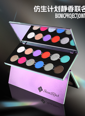 巽菲特仿生计划十二色联名盘初学者上色修颜套盒日常眼妆淡彩妆