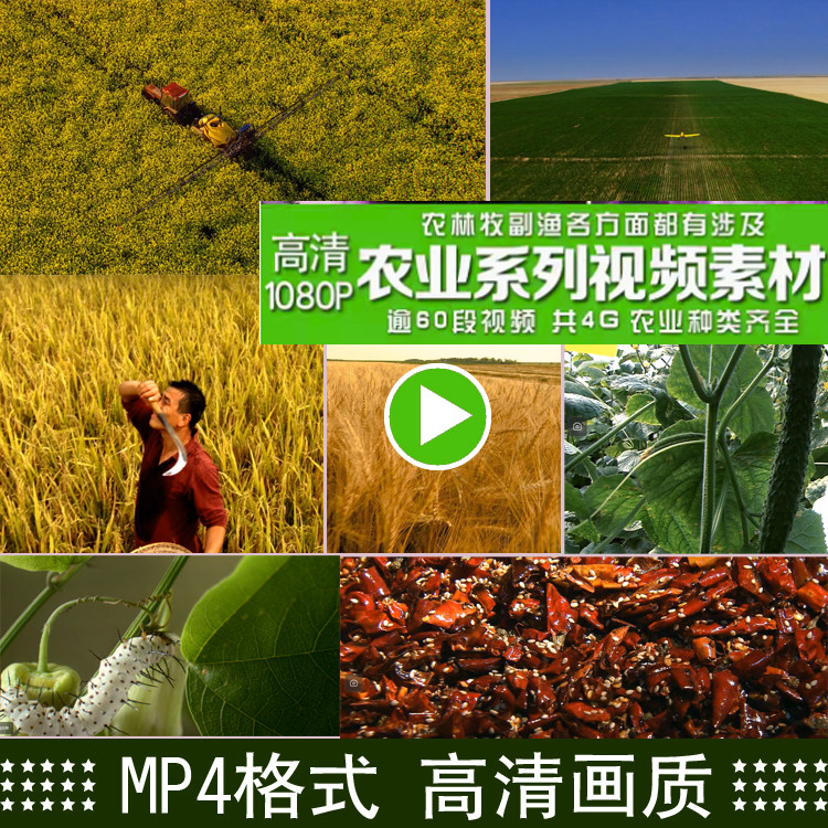 农业视频素材小麦收割航拍丰收农民喜悦笑脸振兴农村粮食背景视频