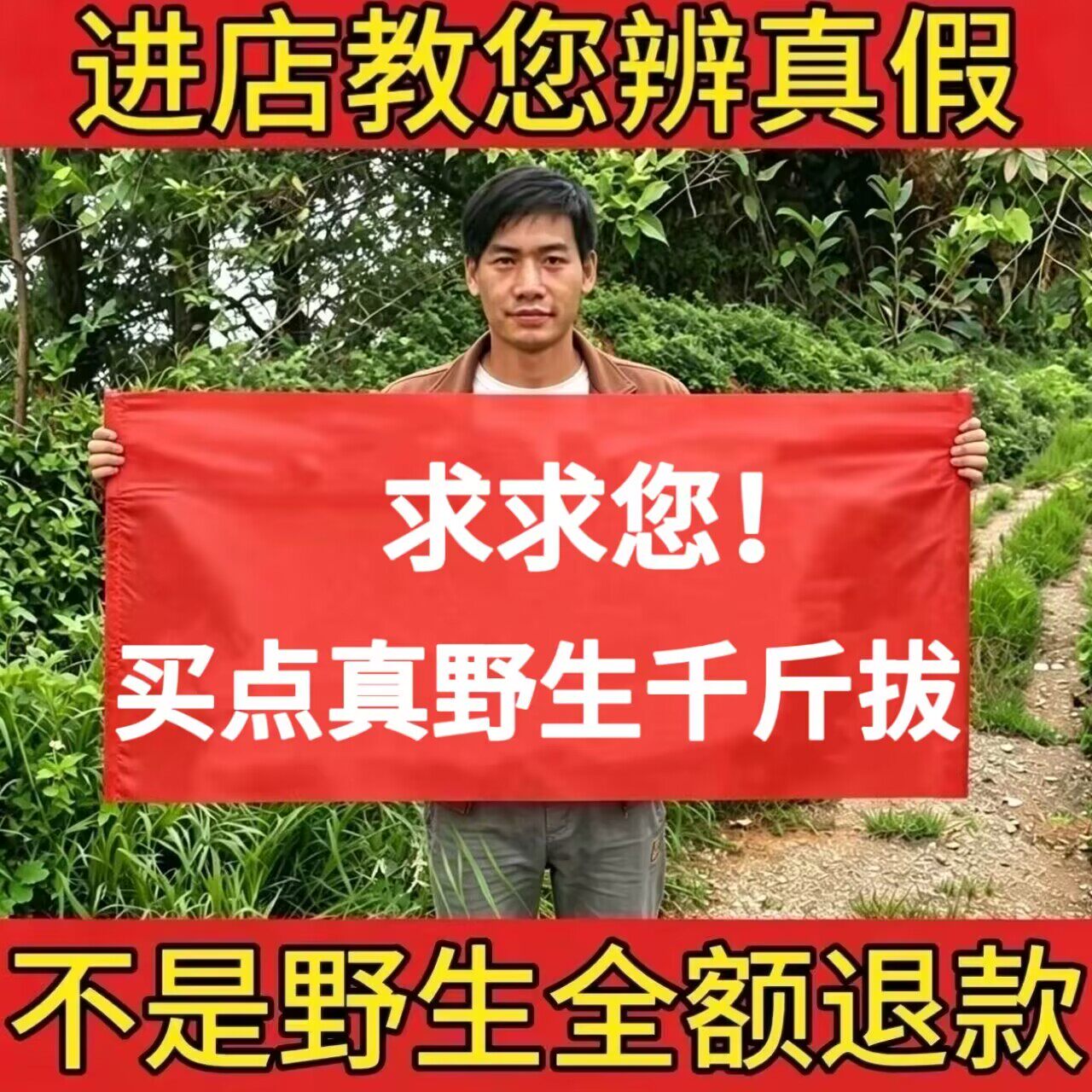 野生千斤拔500g中药材正品小叶黑皮一条根钻地风老鼠尾煲汤泡酒水