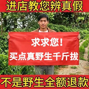 野生千斤拔500g中药材正品小叶黑皮一条根钻地风老鼠尾煲汤泡酒水