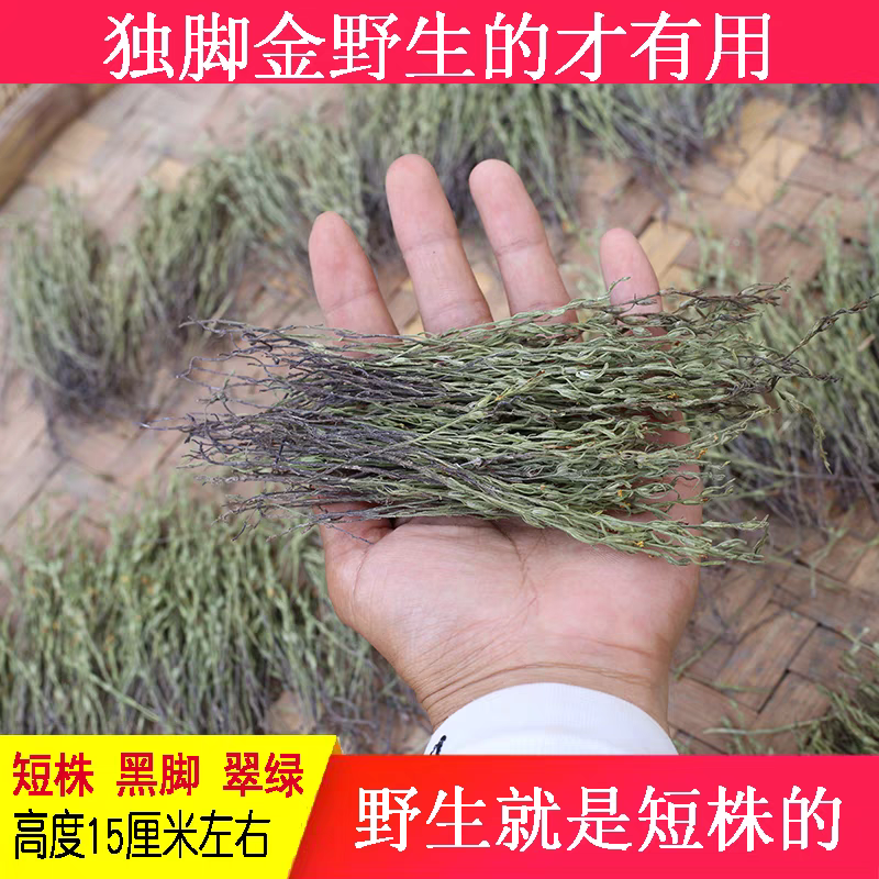 广东野生独脚金疳积草独角金小孩儿开胃消积煲炖汤干货中药材新货