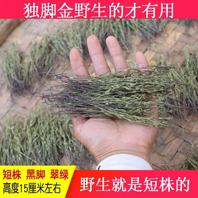 【真野生】今年的新货短株独脚金