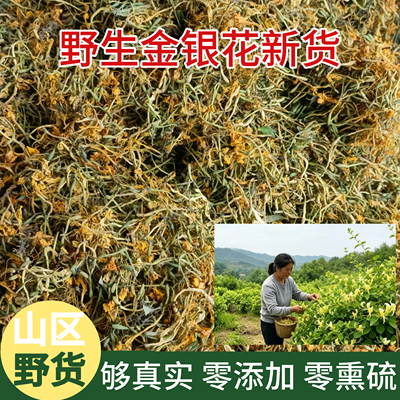 【真野生】今年新货金银花有绒毛