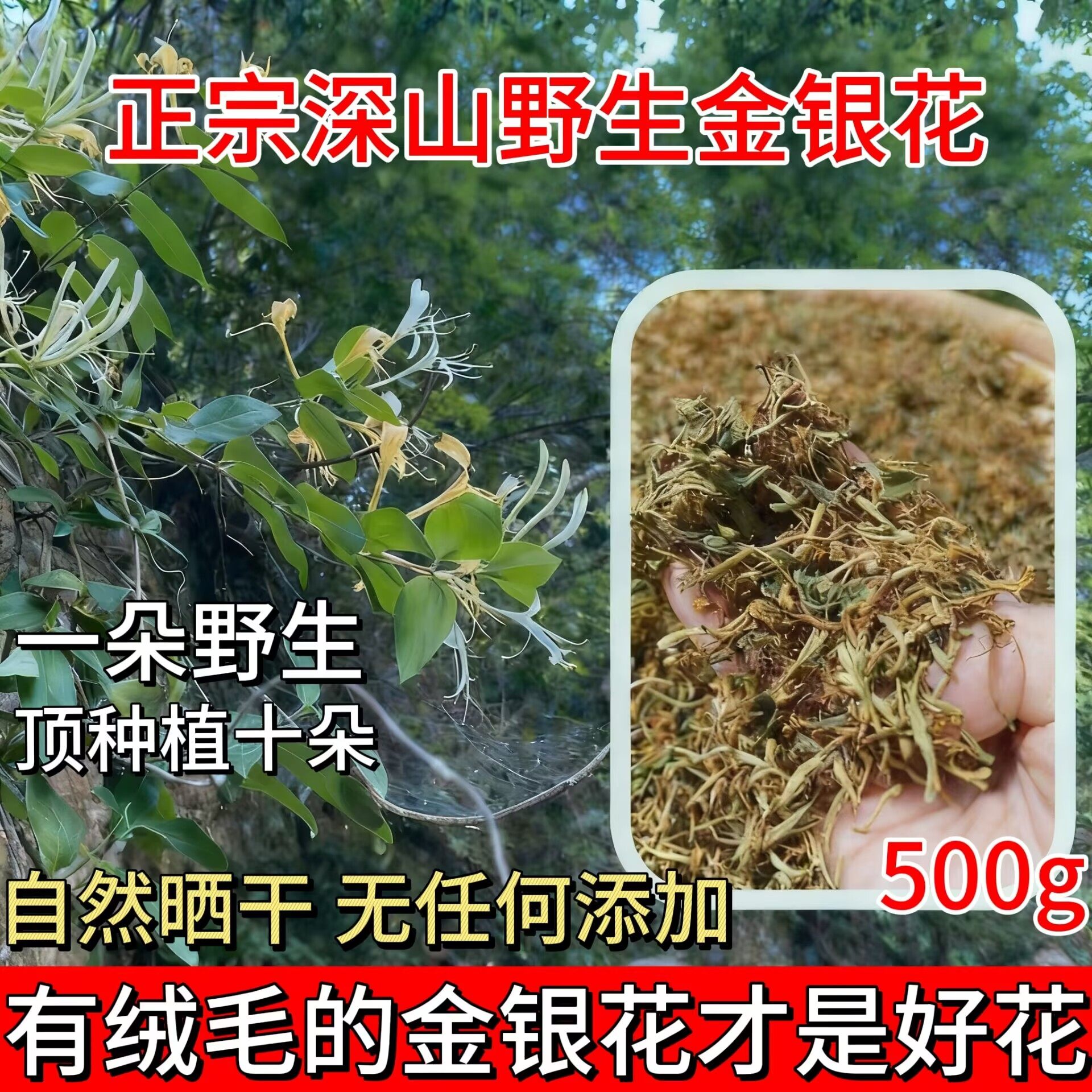 贵州野生金银花带绒毛天然无硫忍冬产地直发泡茶去火茶叶泡菊花茶