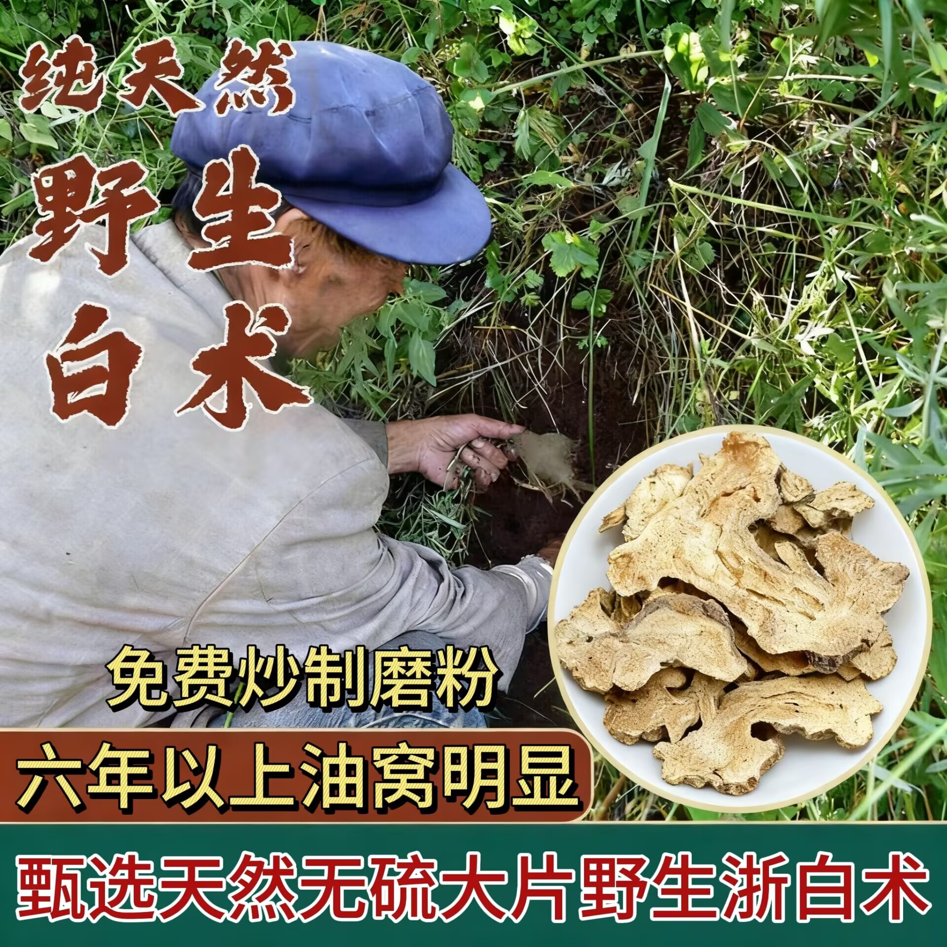 野生白术中药材正品新货大片500g麸炒粉枳实茯苓白芍白芷四君子汤
