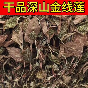 云南正宗整株野金线莲深山林下原生态材新鲜干货红霞金线莲正干品