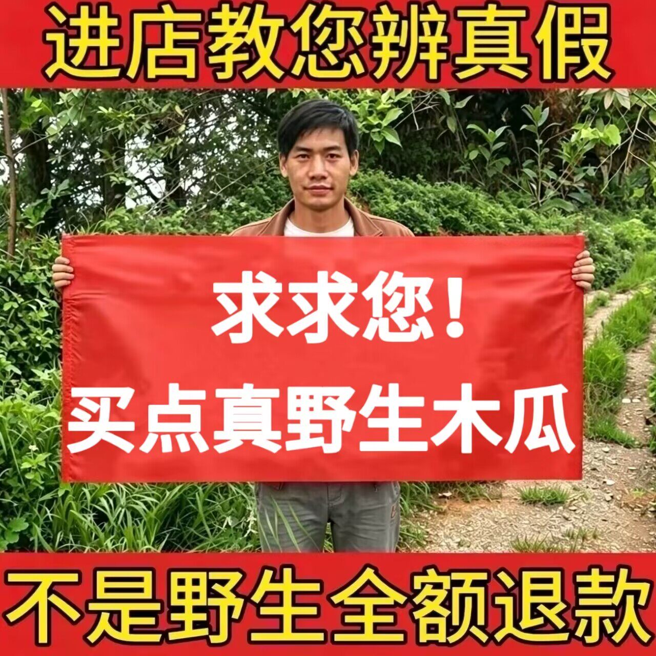 正宗野生木瓜500g中药材正品新鲜干货皱皮木瓜片宣木瓜片泡茶泡水