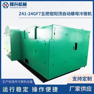 Z41 自动螺母冷镦机紧固件成型机设备搓丝机厂家 24GF7五把钳阳顶