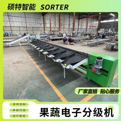 猕猴桃重量分选机 橙子电子称重选果机 牛油果全自动水果分拣机