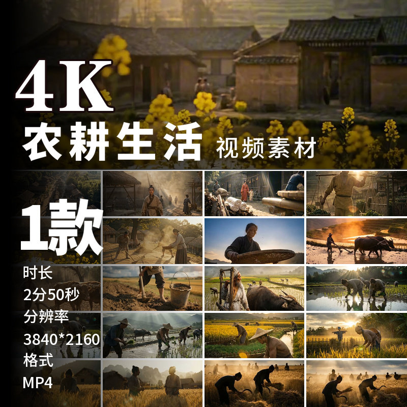 高清古代农耕田园劳作场景传统农业农民牛稻田插秧收割视频素材
