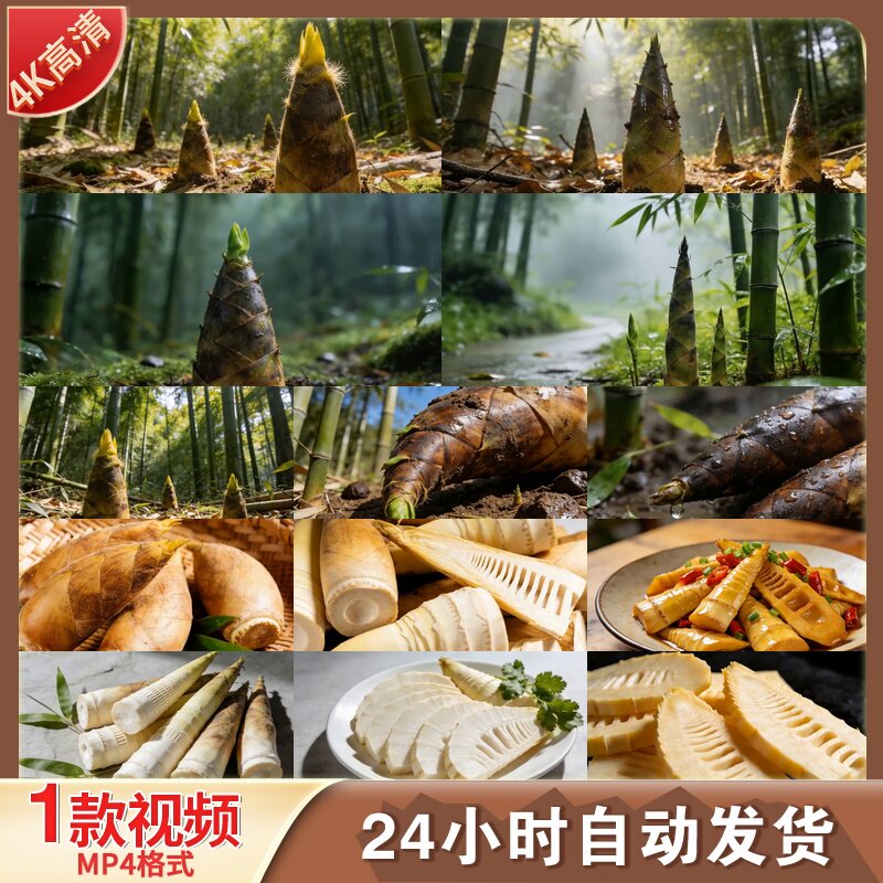 高清雨后竹林春笋生长特写生态自然健康食材竹子破土而出视频素材