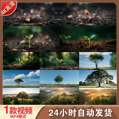 高清种子发芽树苗生长成参天大树森林植物成长生命新生视频素材