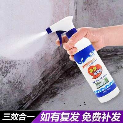 网红Lankangbao wall mould remover 500ml wall mould remover g