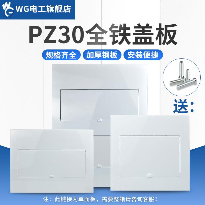 PZ30全铁配电箱盖板明暗装强电回路箱通用白色面板全阻燃消防盖子