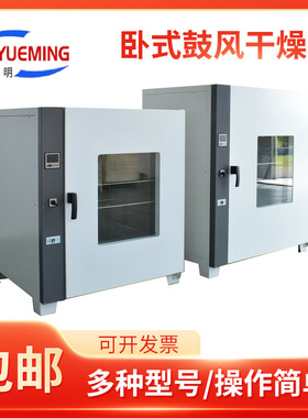 GZX-GF101-1-BS-II不锈钢鼓风干燥箱450*400*450 300℃鼓风干燥箱