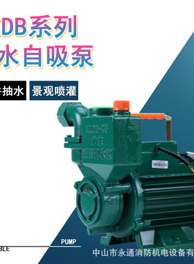 小型家用水井抽水泵1ZDB-35建筑工地自动洒水系统喷淋灌溉自吸泵