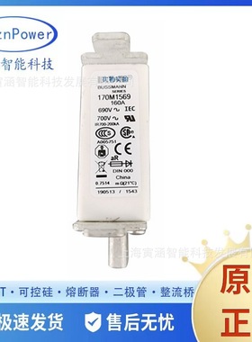 170M1569 160A,690VAC 170M1569D全新现货自恢复保险丝快速熔断器