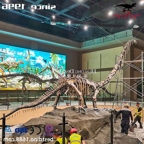 自贡大型仿真化石恐龙厂家恐龙化石骨架模型制作博物馆展览