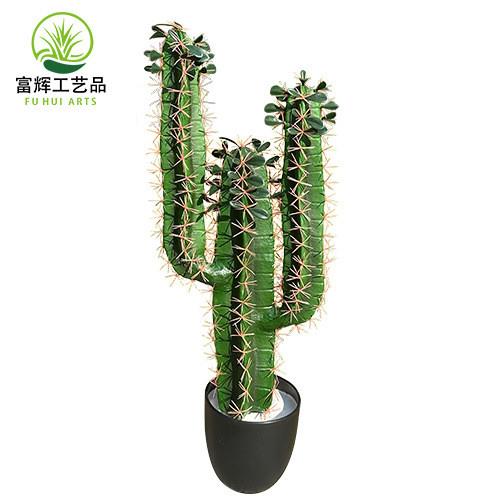 仿真注塑仙人掌仙人球仙人柱盆栽组合造景装饰拍摄道具厂家