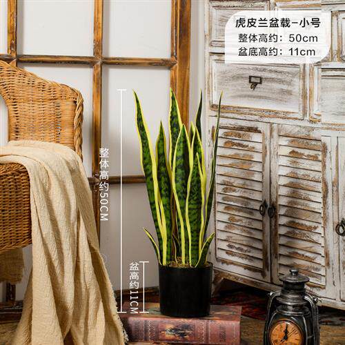 仿真竹子落地假竹树客厅仿真仙人掌绿植盆栽摆件大型植物装饰盆景