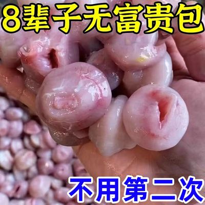 【富贵包当晚消】颈椎贴疏通背部鼓包脖子僵硬富贵包专用消除YY