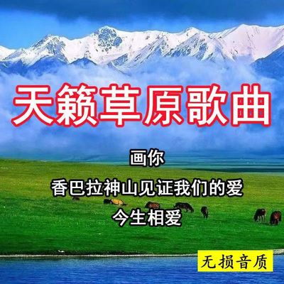 天籁草原歌曲车载音乐U盘画你游牧时光藏歌藏族民歌无损高音质MP3