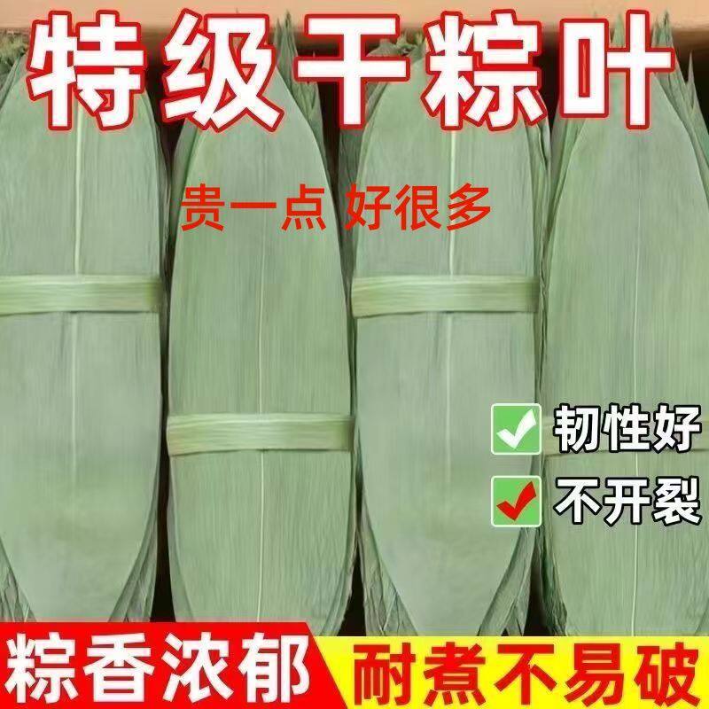 农家晒干粽叶大张干粽叶新鲜清香家用商用实惠包粽子叶子批发